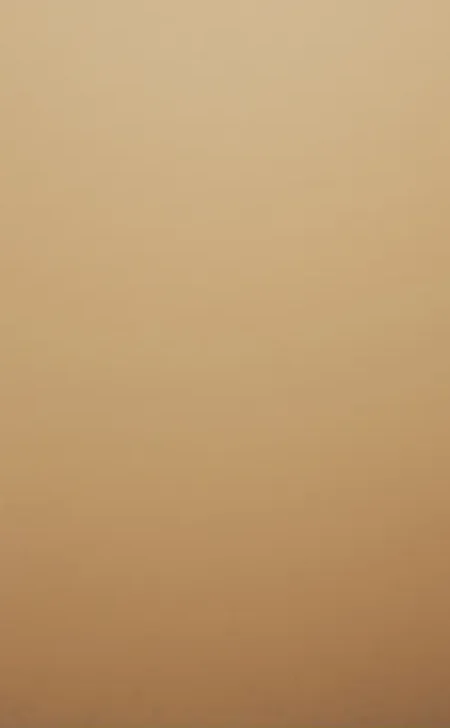 product-decor-image-3 Commodo Odio